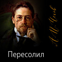 Пересолил