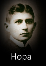 Нора