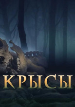 Крысы