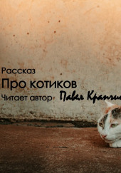 Про котиков