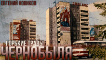 Горькие Травы Чернобыля