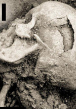 Проклятая деревня