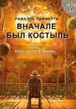 Вначале был костыль