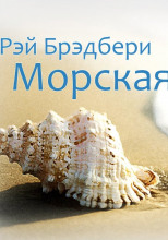 Морская раковина